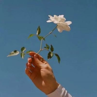 一剑成仙折扣端下载